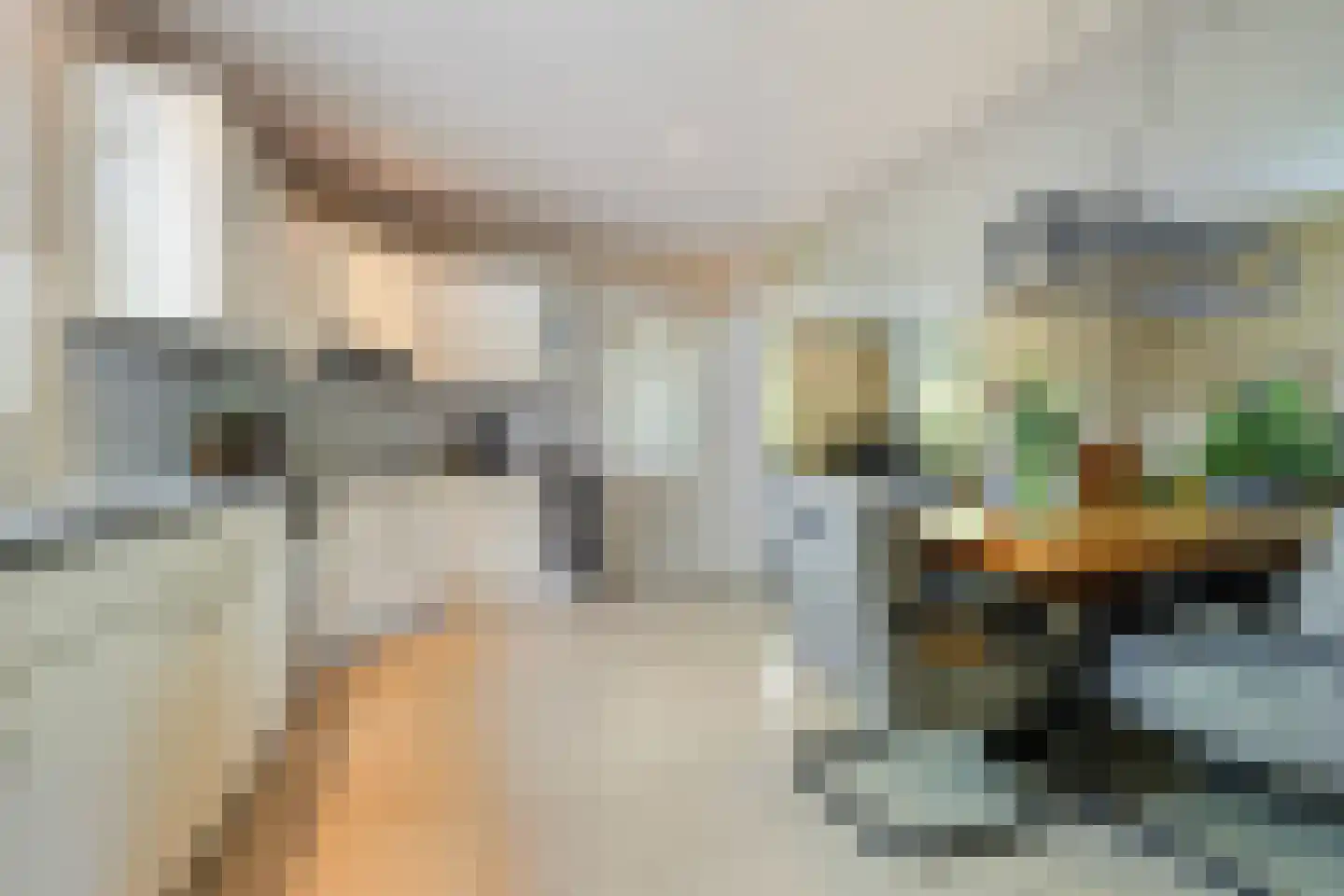 Wilgenweg 3 Waalwijk thumbnail 9
