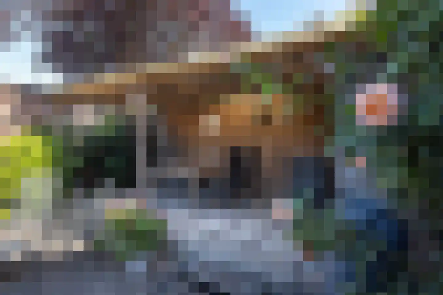 Wilgenweg 35 Hengelo thumbnail 23
