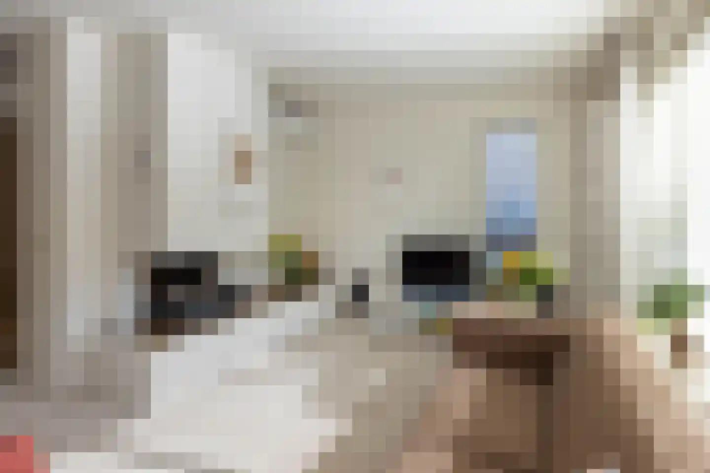 Wilgenweg 35 Hengelo thumbnail 4