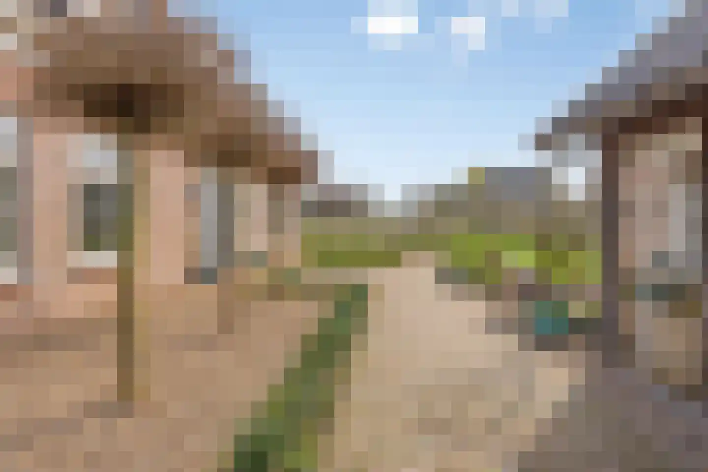 Wilgenweg 9 Pijnacker thumbnail 6