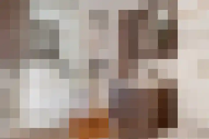 Wilgepad 21 Gouda thumbnail 16