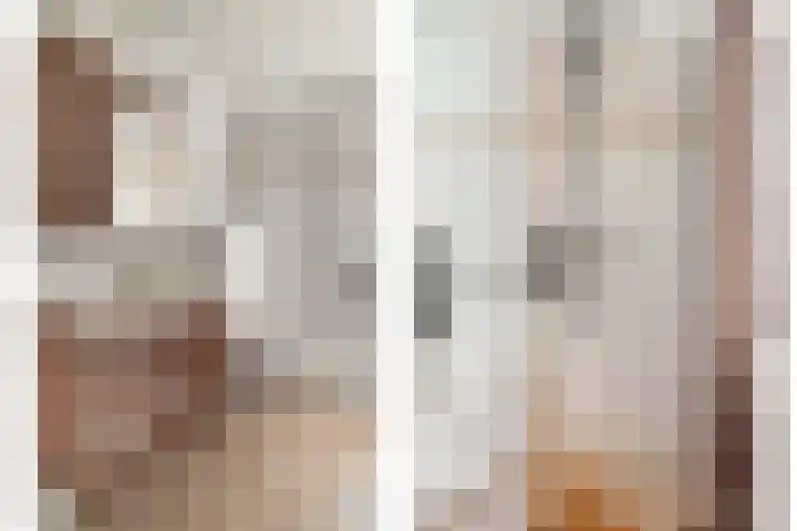 Wilgepad 21 Gouda thumbnail 17
