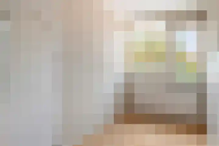 Wilgepad 21 Gouda thumbnail 18