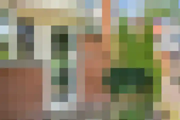 Wilgepad 21 Gouda thumbnail 20