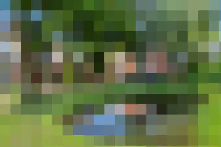 Wilgepad 21 Gouda thumbnail 21