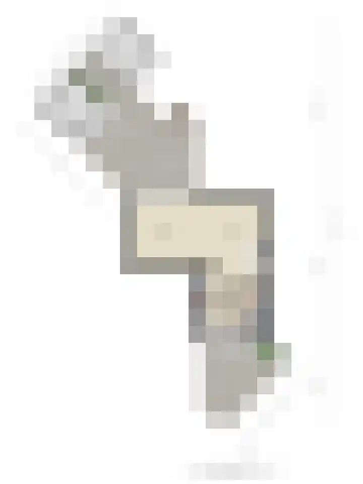 Wilgepad 21 Gouda thumbnail 27