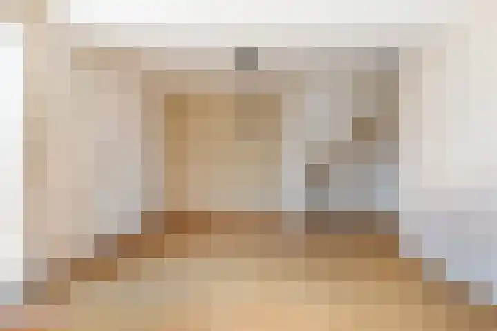 Wilgepad 21 Gouda thumbnail 4