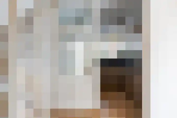 Wilgepad 21 Gouda thumbnail 5