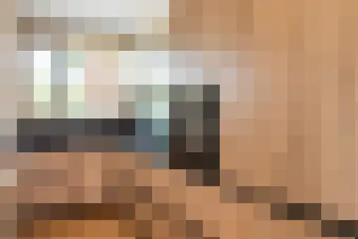 Wilgepad 21 Gouda thumbnail 6