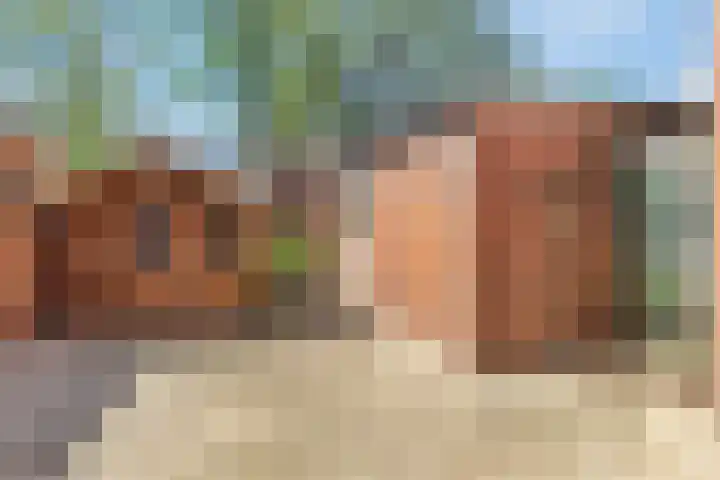 Wilgepad 21 Gouda thumbnail 7