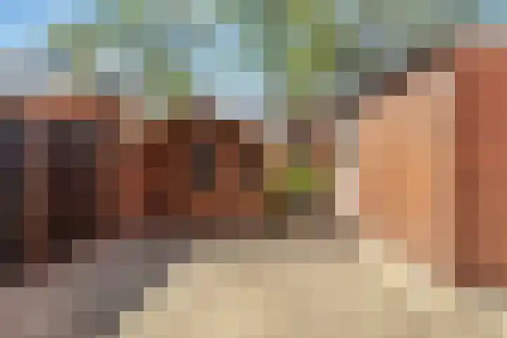 Wilgepad 21 Gouda thumbnail 8
