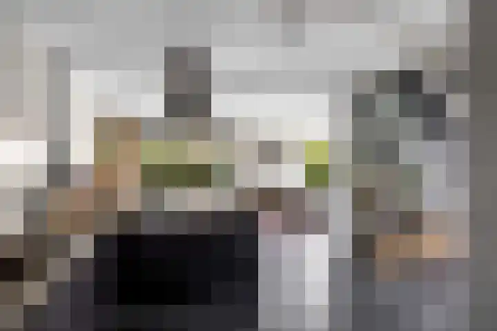 Wilgeroosje 12 Sneek thumbnail 11