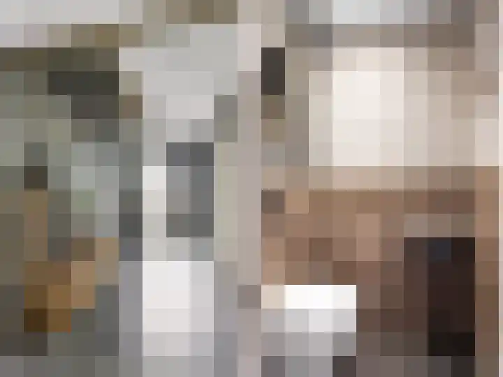 Wilgeroosje 12 Sneek thumbnail 13