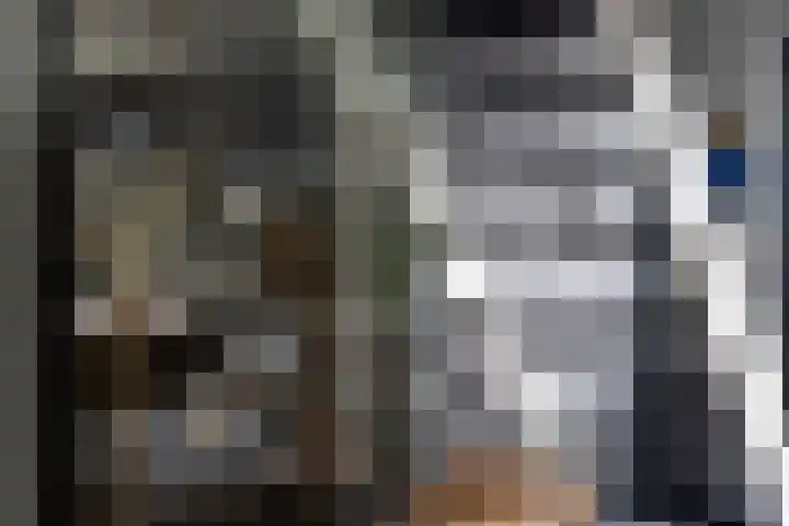 Wilgeroosje 12 Sneek thumbnail 14