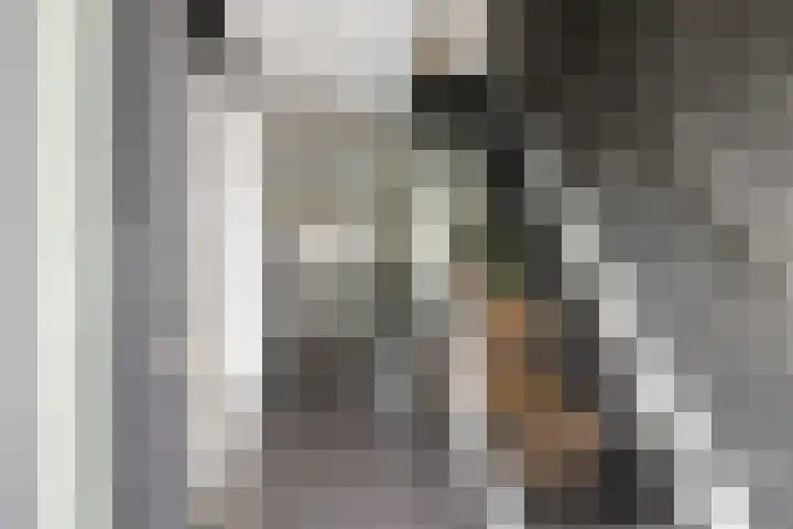 Wilgeroosje 12 Sneek thumbnail 15