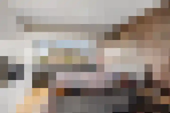 Wilgeroosje 12 Sneek thumbnail 17