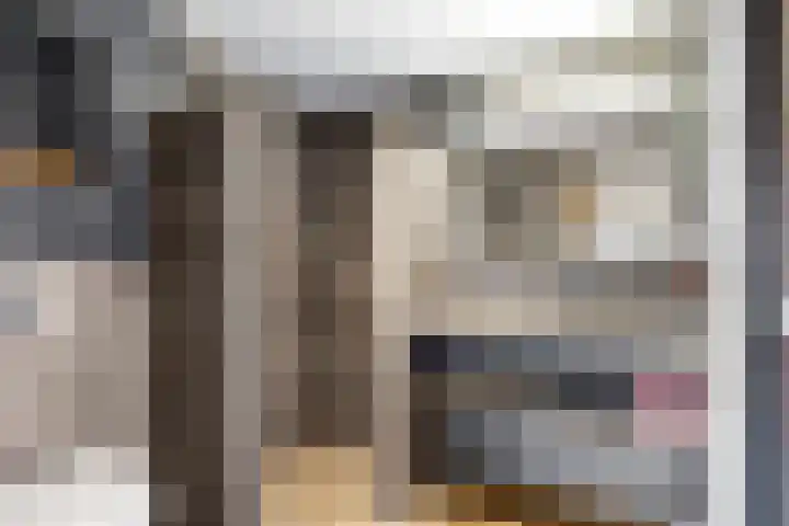 Wilgeroosje 12 Sneek thumbnail 19