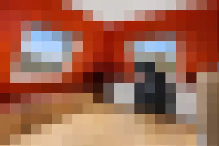 Wilgeroosje 12 Sneek thumbnail 21