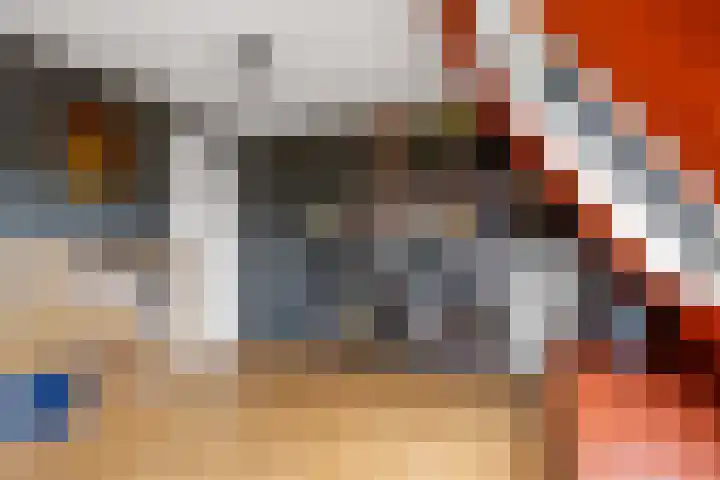Wilgeroosje 12 Sneek thumbnail 22