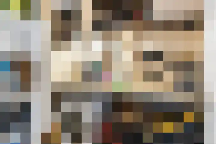 Wilgeroosje 12 Sneek thumbnail 24