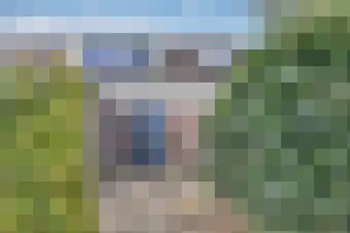 Wilgeroosje 12 Sneek thumbnail 25