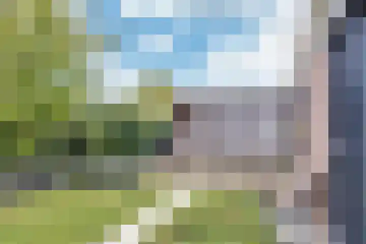 Wilgeroosje 12 Sneek thumbnail 26