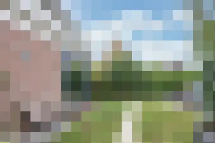 Wilgeroosje 12 Sneek thumbnail 27