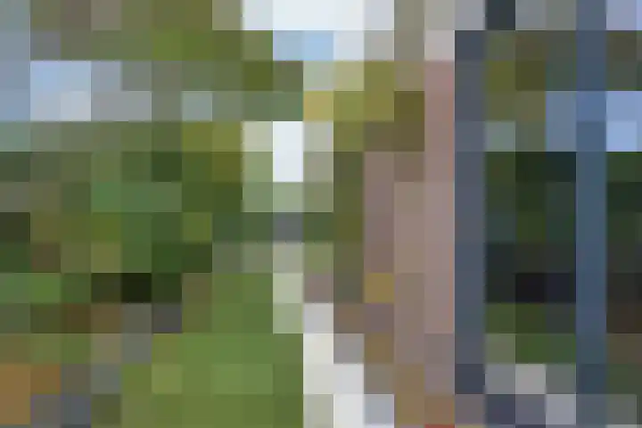 Wilgeroosje 12 Sneek thumbnail 29