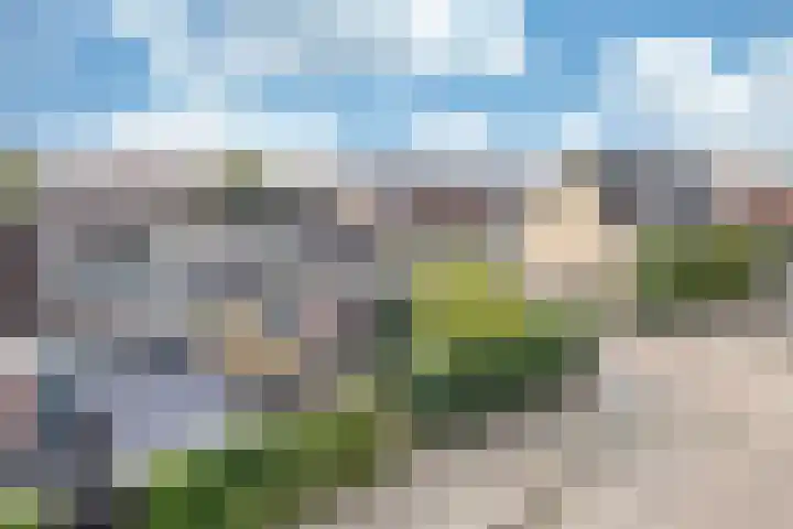 Wilgeroosje 12 Sneek thumbnail 30