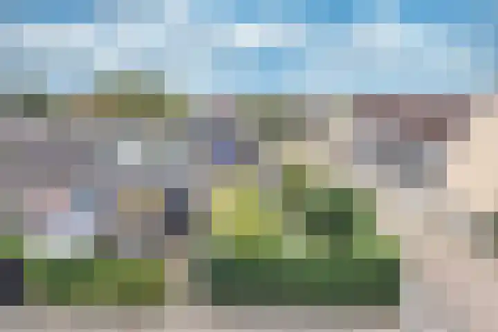 Wilgeroosje 12 Sneek thumbnail 31