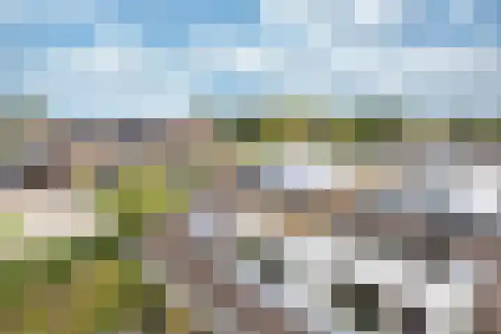 Wilgeroosje 12 Sneek thumbnail 32