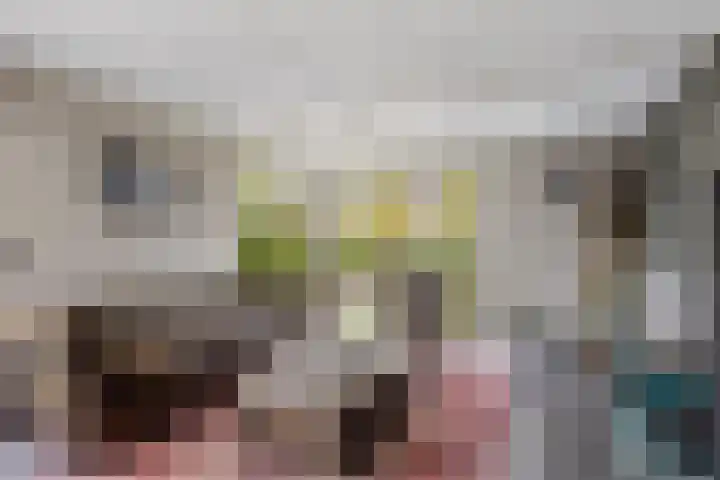 Wilgeroosje 12 Sneek thumbnail 4