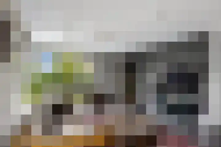 Wilgeroosje 12 Sneek thumbnail 5
