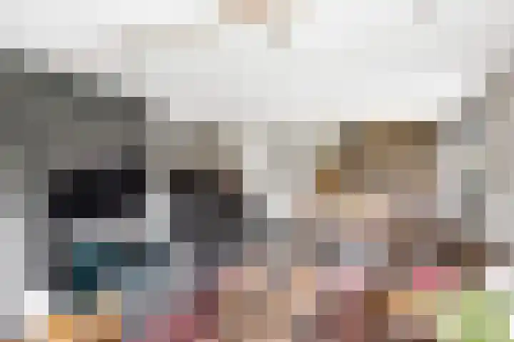 Wilgeroosje 12 Sneek thumbnail 6