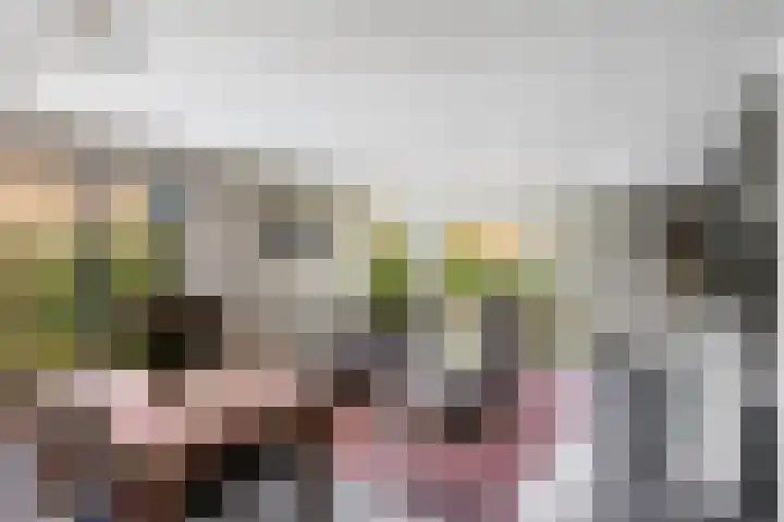 Wilgeroosje 12 Sneek thumbnail 7