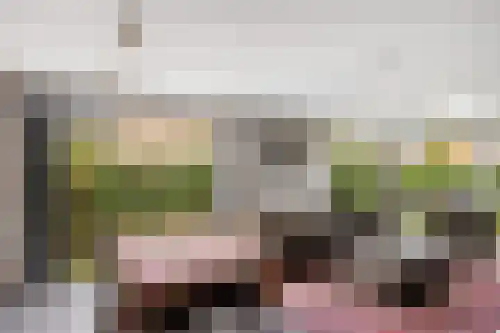 Wilgeroosje 12 Sneek thumbnail 8