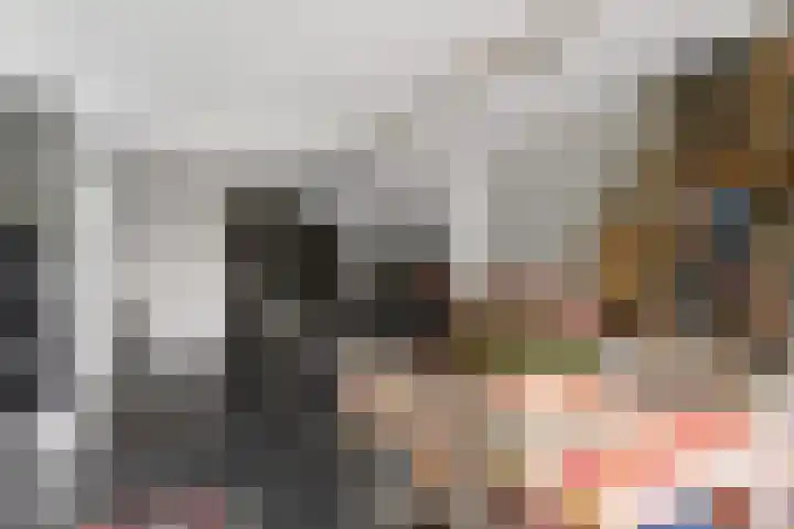 Wilgeroosje 12 Sneek thumbnail 9