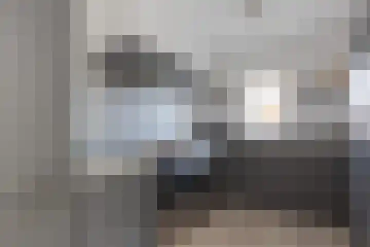 Wilgeroosje 14 Sneek thumbnail 14