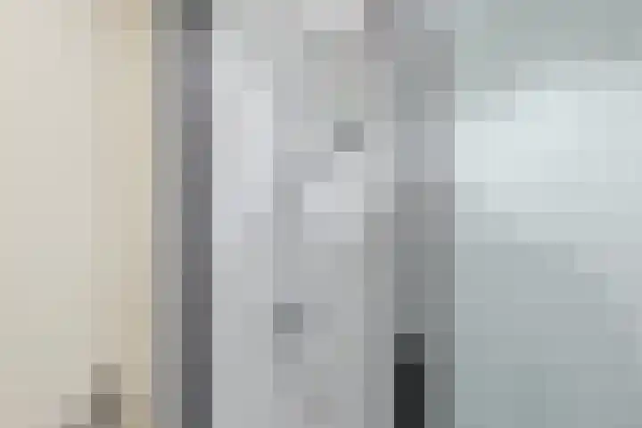 Wilgeroosje 14 Sneek thumbnail 26