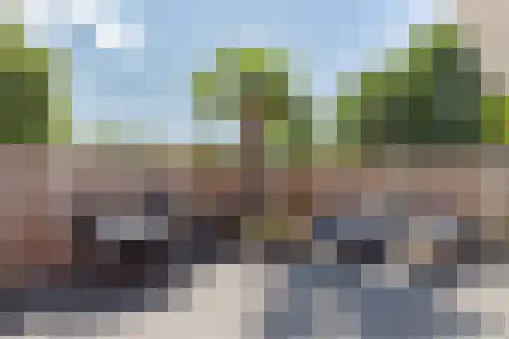 Wilgeroosje 14 Sneek thumbnail 28