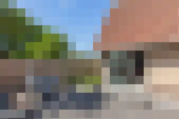 Wilgeroosje 14 Sneek thumbnail 30