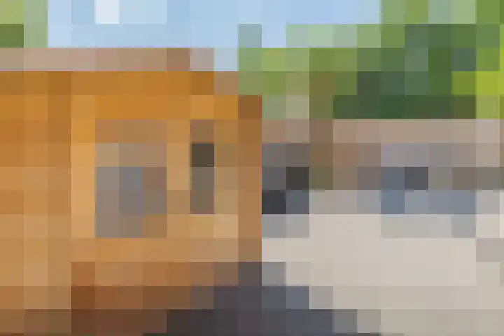 Wilgeroosje 14 Sneek thumbnail 32