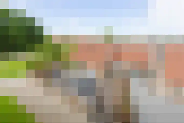 Wilgeroosje 14 Sneek thumbnail 33