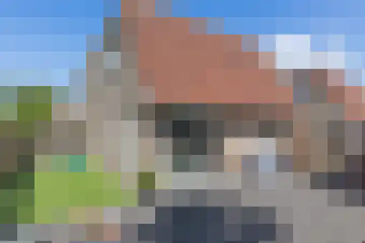Wilgeroosje 14 Sneek thumbnail 36