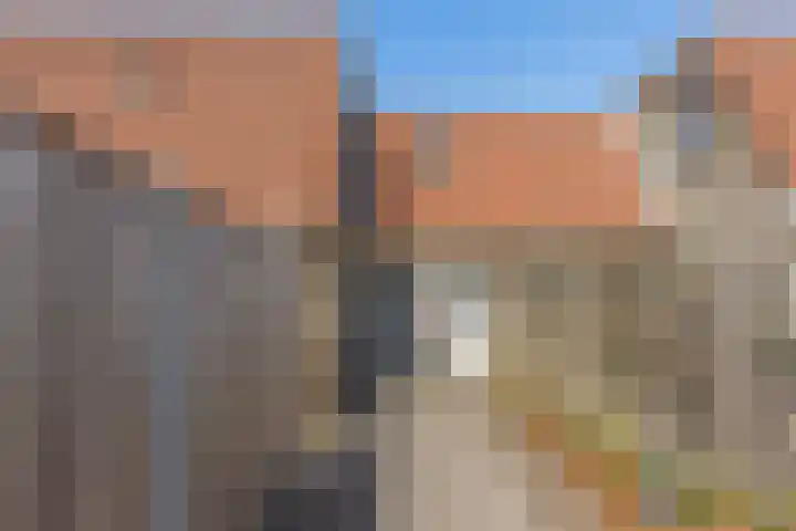 Wilgeroosje 14 Sneek thumbnail 4