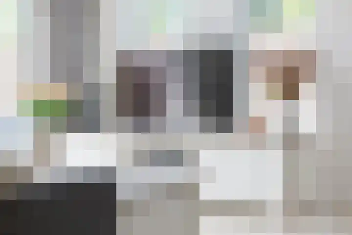 Wilgeroosje 14 Sneek thumbnail 8