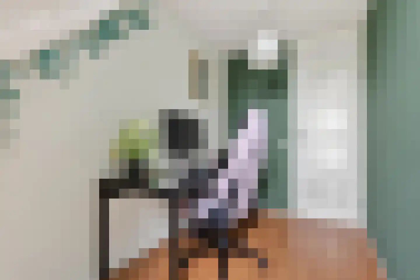 Wilgeroosje 22 Sneek thumbnail 12