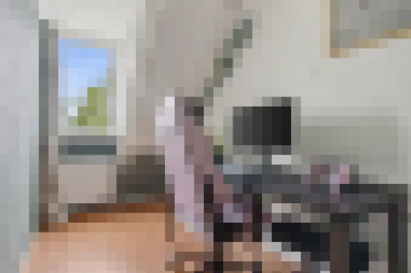 Wilgeroosje 22 Sneek thumbnail 13