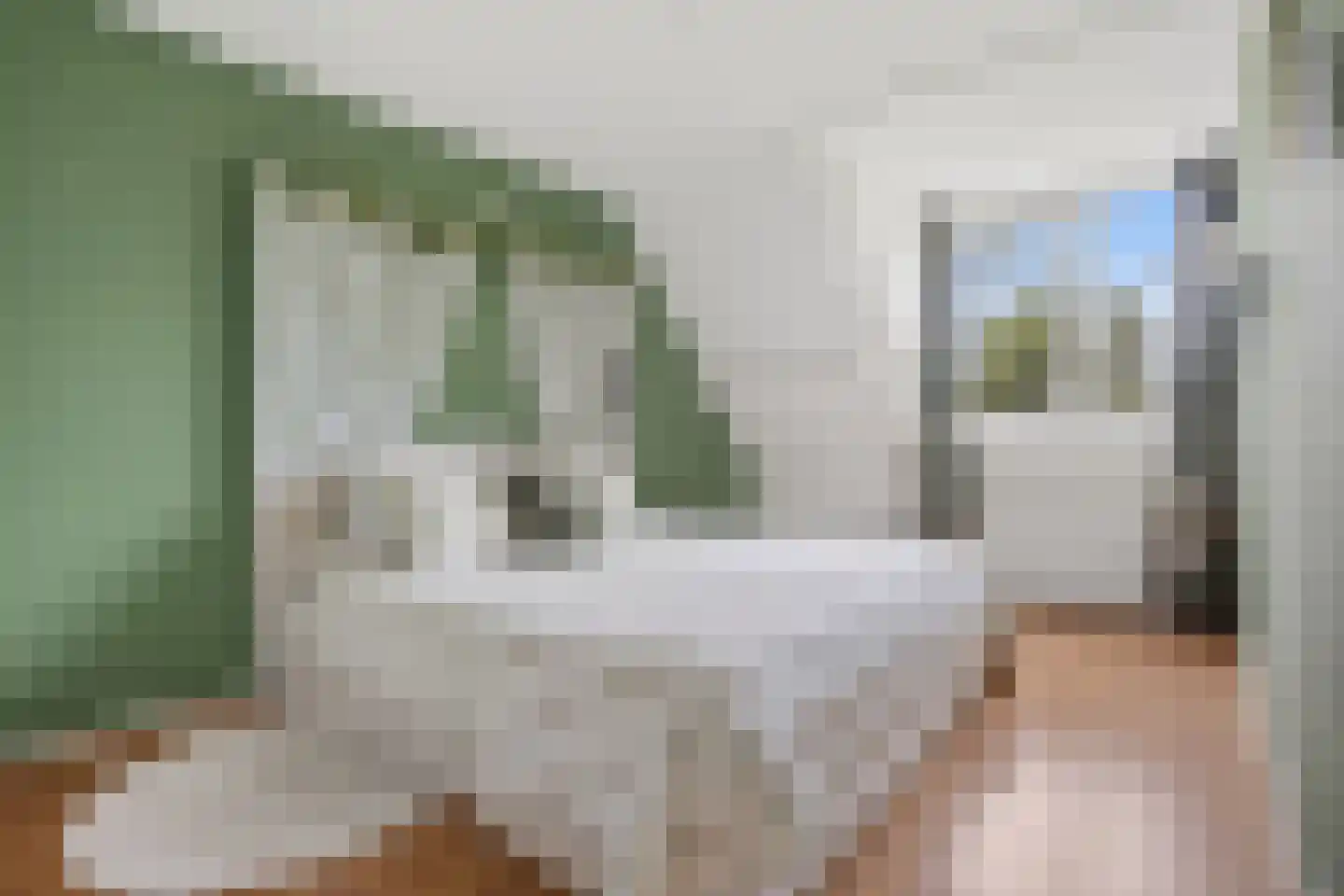 Wilgeroosje 22 Sneek thumbnail 14