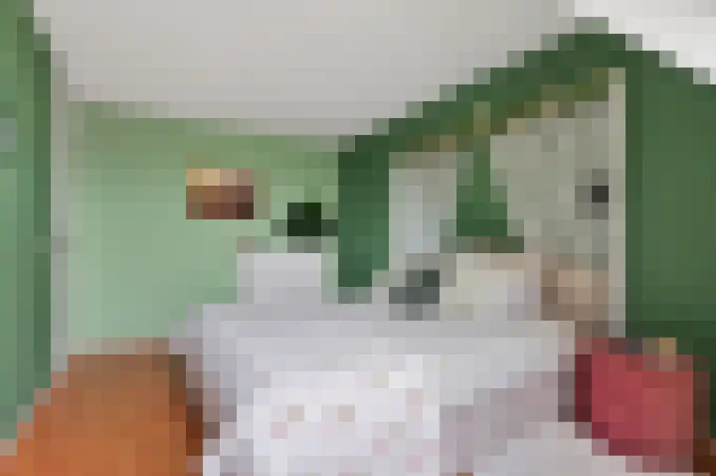 Wilgeroosje 22 Sneek thumbnail 15